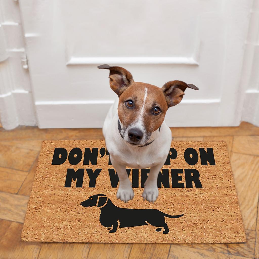 Non- Door Mat, Indoor And Outdoor Carpet, Home Welcome Mat