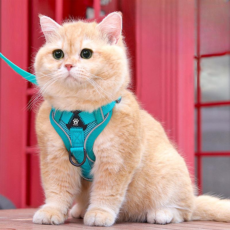 Cat Leash, Anti-escape Special Cat Leash for Going Out, Pet Carrier, Adjustable Chain, Cat Walking Wonder