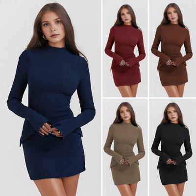Herbst Frühling Damen Kleid Etui Slim Fit Stehkragen Fake Pocket Dekor Einfarbig Lange Ärmel Dating Shopping Pendeln Minikleid