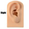 Tools Body for Hearing Teaching Simulation Ear Jewelry Earrings Display Silicone Ear Model Fake Ear