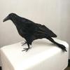 Vivid Artificial Decorative Birds Realistic Raven Bird Animal Home Garden Ornament Miniature Decoration