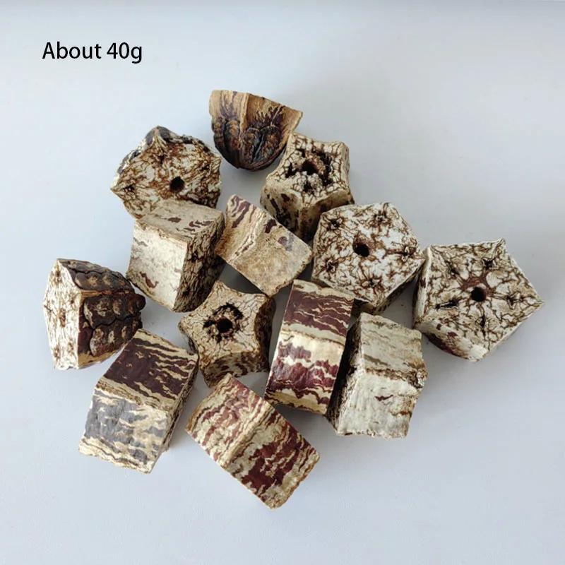 

Natural Material Pet Parrot Toy Bird Paw Grinding Biting Wooden Toys Pet Parrot Macaw Hammock Bird DIY Toy