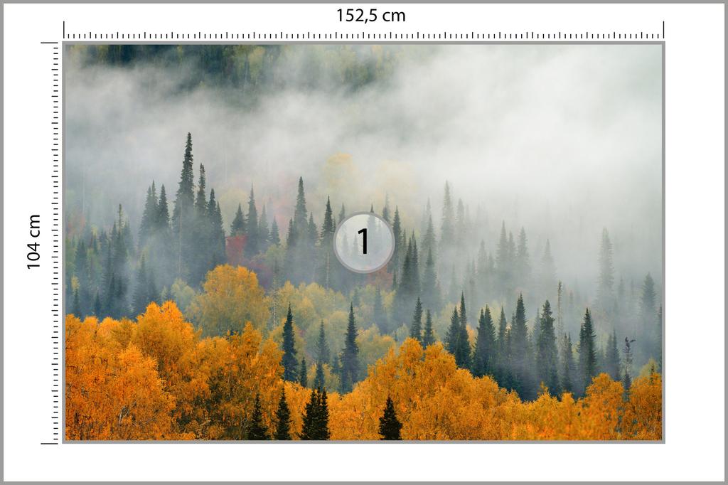 Photomural Fog Over Autumn Forest Washable Fleece 152.5x104