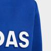 Adidas Outdoor Sports Series Warm Comfortable Pullover Fleece Long Sleeve Kids Tops Blue DT2416