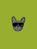 Pindex Frenchie Life Pin Badge
