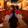 Realistic Ladybugs Wing For Halloween Cosplay And Themed Parties Easy Wear Design Safe Role Play Wing For Children