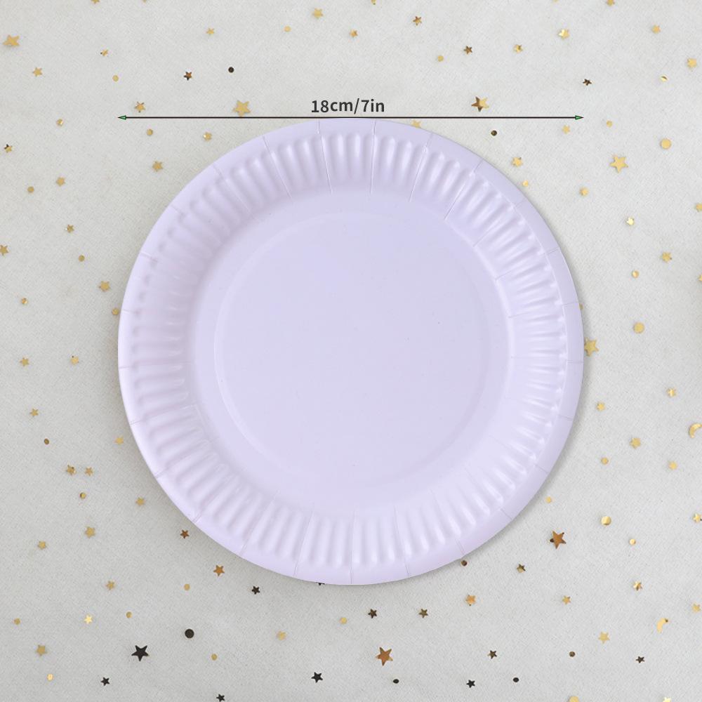 

Popular Food-Grade White Disposable Paper Plates for DIY Art and Crafts