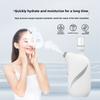 Oxygen Injection Meter Handheld Household Spray Meter Portable Water Light Meter New Cold Spray Essence Introducer