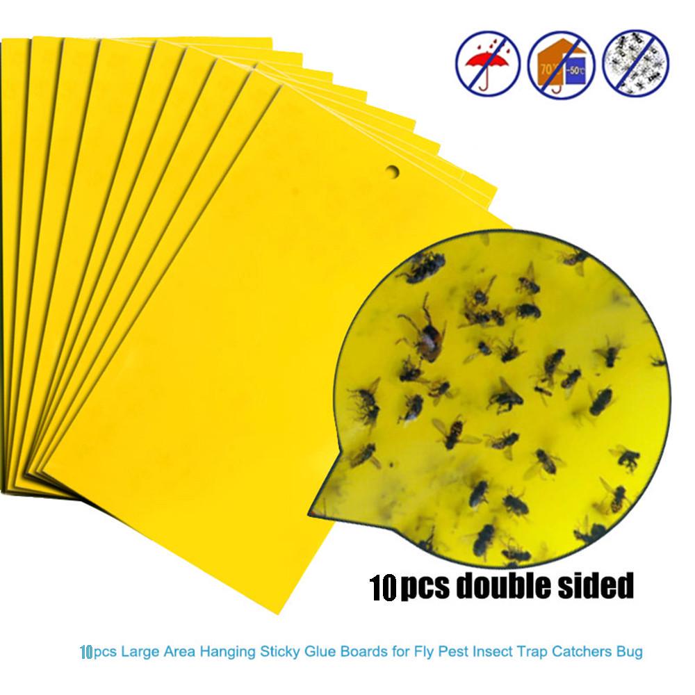 10/20/30Pcs Strong Flies Traps Bugs Sticky Board Catching Aphid Insects Pest Killer