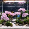 Realistic Aquarium Cherry Blossom Underwater Scene Artificial Plant Landscape Tree  Office Decor