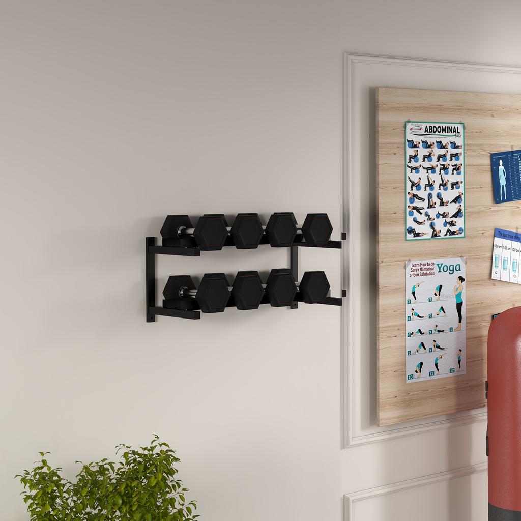 Wall-Mounted Dumbbell Rack, 2-Tier Weight Stand, Space-Saving and Multi-Functional Steel Organiser for Home Gym, Black