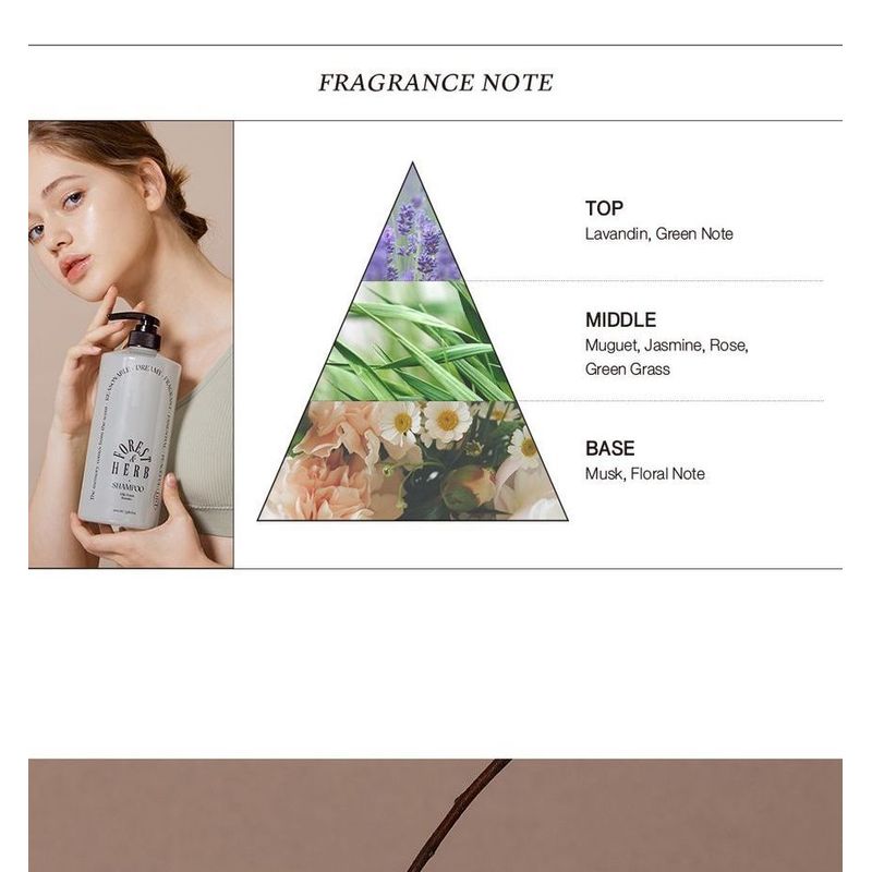 odiD - Milk Protein Intensive Shampoo - 4 Types