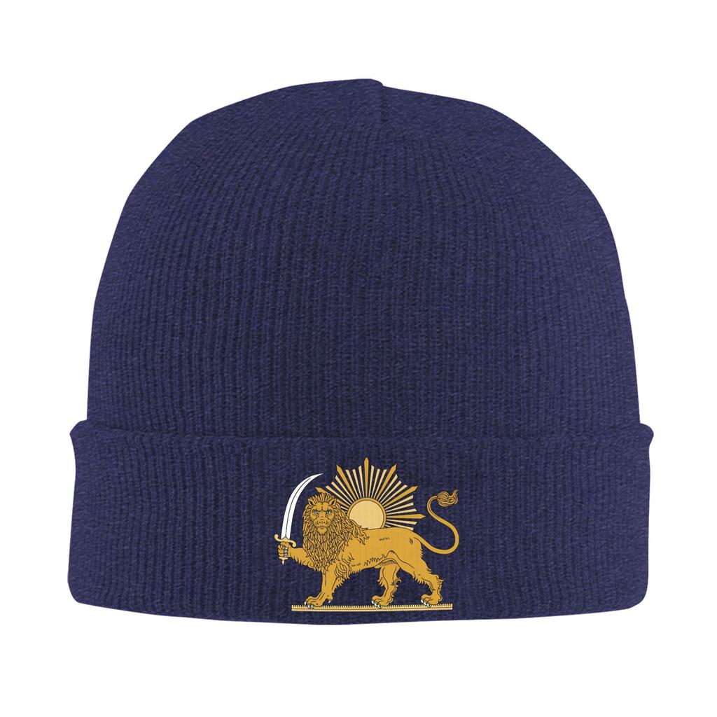 Lion And Sun Persian Emblem  Bonnet Hats Beanie Hats Autumn Winter Design Skullies Beanies Cute Unisex Women Unisex Hippie Warm Cap