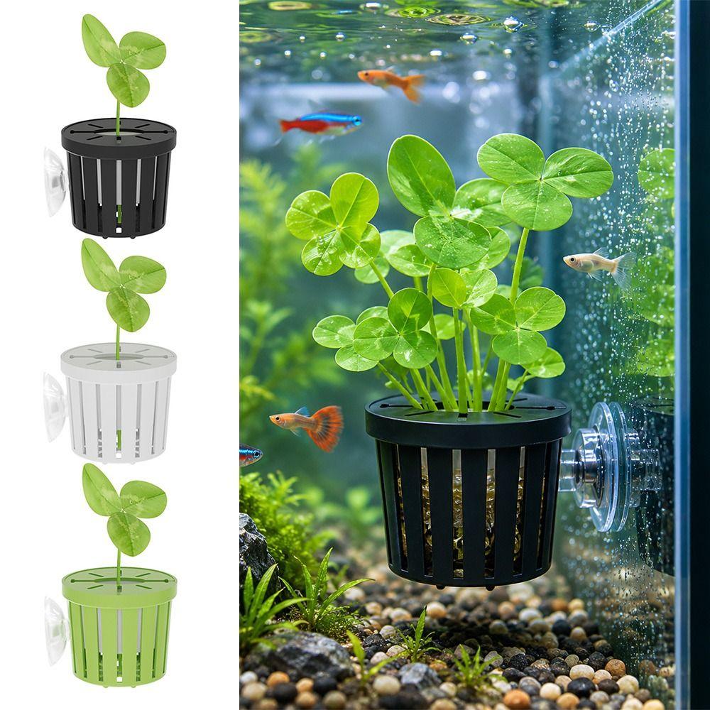 Glass Pot Fish Tank Hydroponic Planting Basket  for Tanks Aquascape Decorations