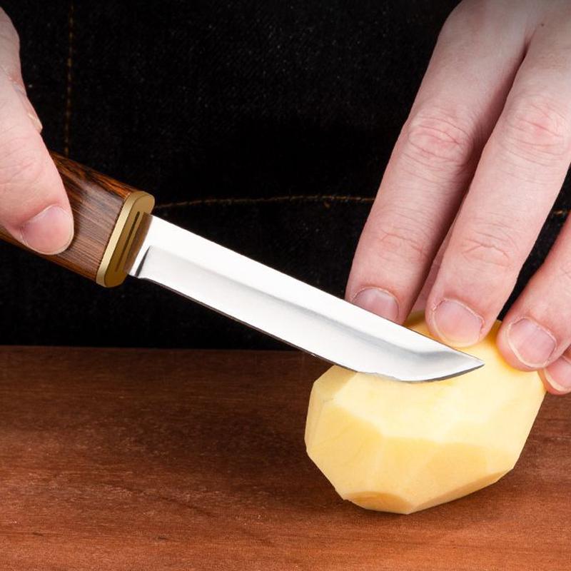 Mini 2pcs Pair of Portable Kitchen Paring Knives with Plastic Handles for Easy Storage