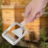 Silver Honey Uncapping Fork Stainless Steel Hive Scraper Tool Honeycomb Scraper  Honey Harvesting