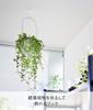 Yamazaki Tower Planter Hook Compatible with 6 x 6 x x D x Includes Drywall (10227), Ceiling-Mountable, Drywall, White, 8.2cm (W H), Tweezers.