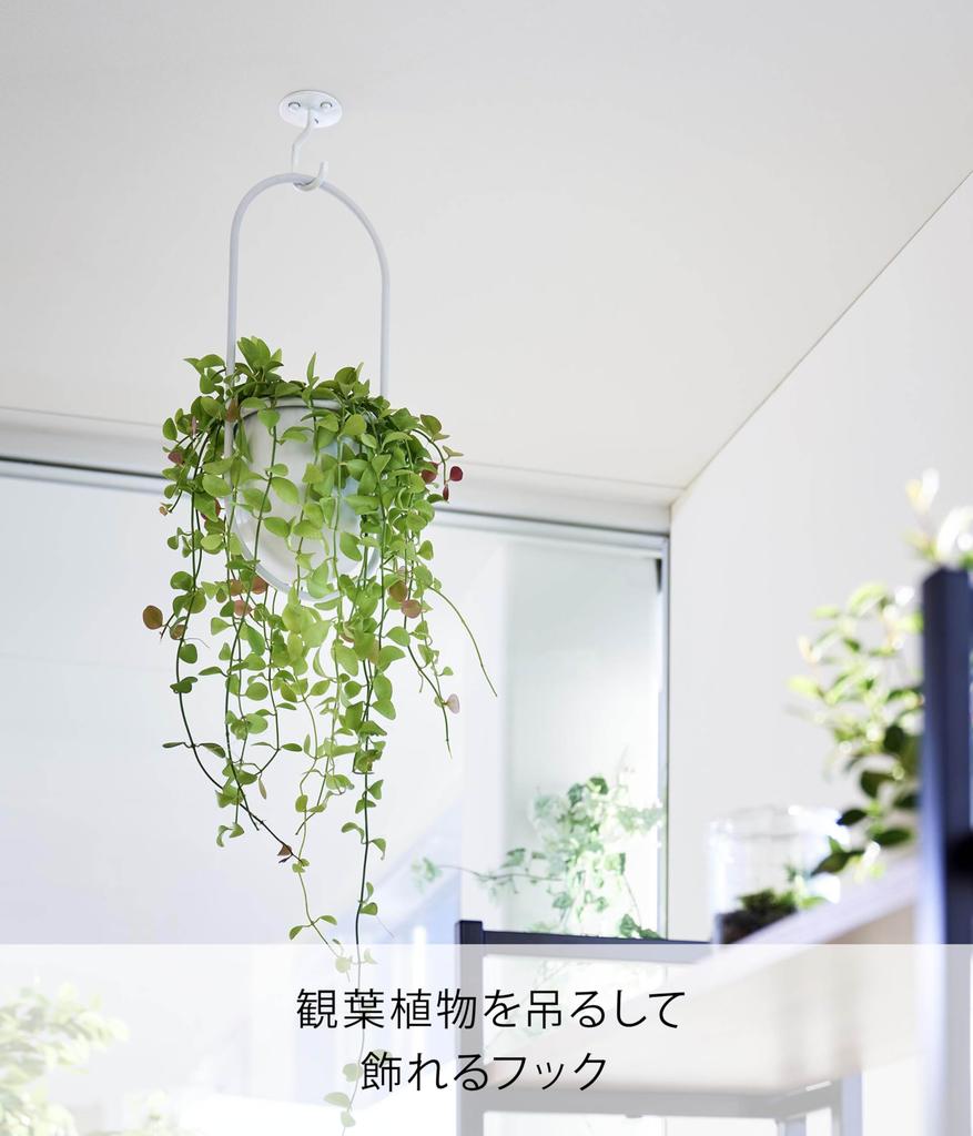 Yamazaki Tower Planter Hook Compatible with 6 x 6 x x D x Includes Drywall (10227), Ceiling-Mountable, Drywall, White, 8.2cm (W H), Tweezers.