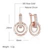 Unique Design Full Natural Zircon Dangle Earrings For Women Fashion  Rose Gold Color Romantic Daily Fine Jewelry