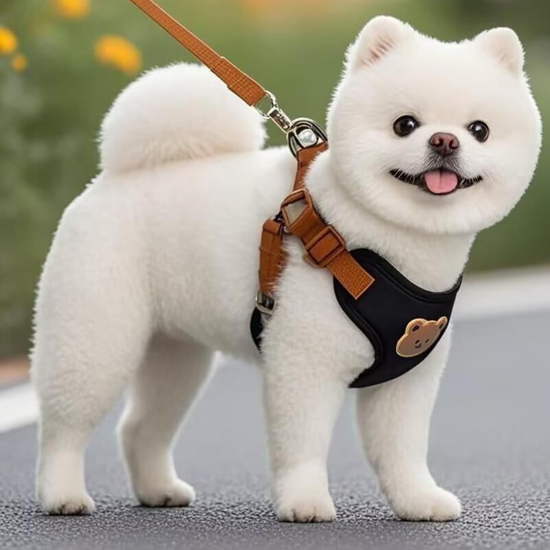 Haustier Hundegeschirr Leine Set Klein Mittelgroßer Hund Katze Weste Atmungsaktiv Welpe Brustgurt Französische Bulldogge Chihuahua Geschirr Haustierbedarf