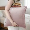Nordic Style Velvet Throw Pillow Cover 60cm Skin-Friendly Solid Color Cushion Cover Living Room Pillow Case Design Cushion Cover