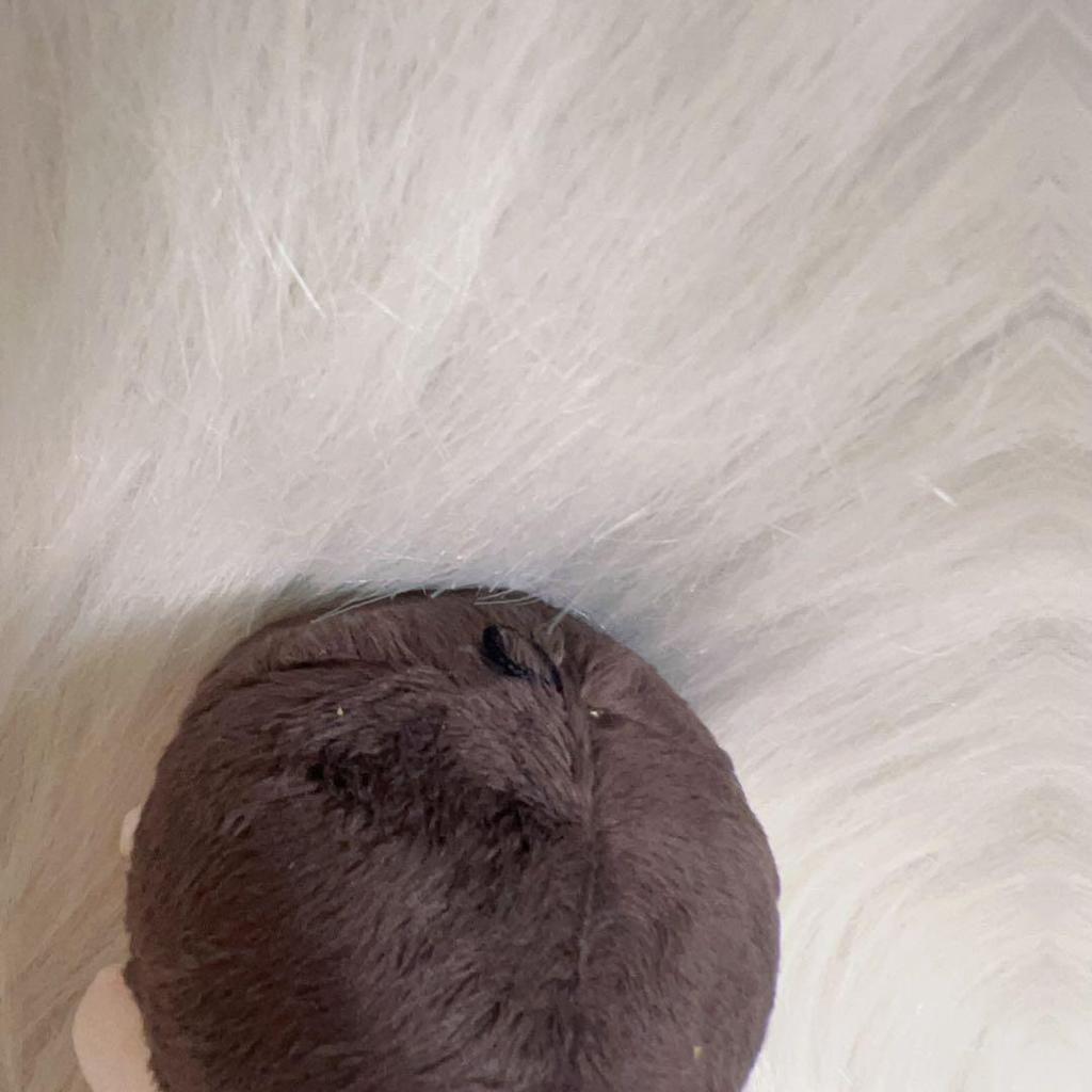 [USED] BTS V 10cm Plush Toy Master