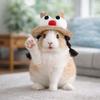 Adjustable Fisherman Hat Elastic Strap Decorative Rabbit Cap Funny Small Pets Hat  Photo Props