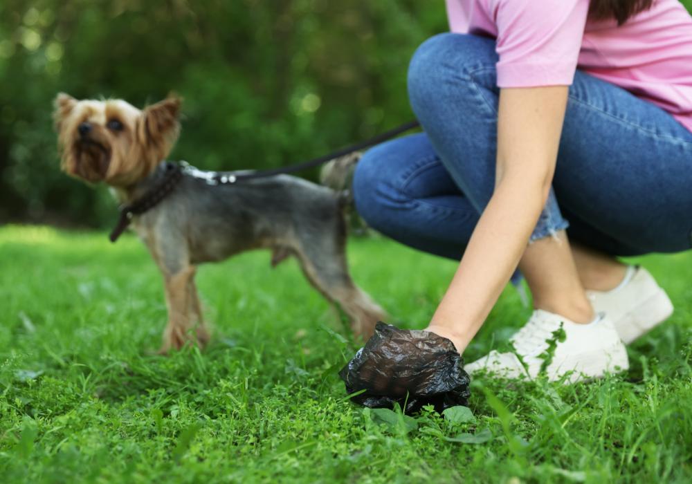 XA124B PORTABLE DOG BOTTLE WITH BOWL with CLIP Pet water bottle