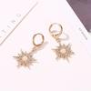Fashion Net Red With Pendant Earrings Sun Flower Exaggerated Earrings Trend Female Accessories MIT