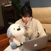 20/30cm Kawaii Teddy Dog Plush Toy Doll Cute Stuffed Animal Dog Plushies Cute Birthday Gift for Girls Boys Kids Home Decor