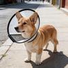 Pet Cone Collar Adjustable Cat Recovery Collar Dog E-Collar Prevents Licking Biting Wound for Postoperative Recovery Bathing And Nail Trimming