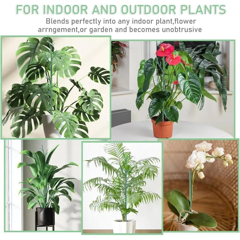 3/24 buc Suporturi pentru plante crenguță Stivuibile Mize pentru creșterea plantelor verzi Detașabile Mize pentru cățărare Monstera pentru Interior Exterior