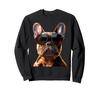 French Bulldog with Sunglasses Bulldog Mastiff Trainer