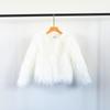 Autumn and winter new imitation beach sheep fur coat women's short young fashion fur integrated wool coat