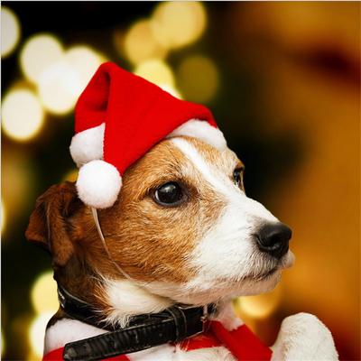 Christmas Decorations Pet Santa Hat Dog Small Hat Furry Hat Pet Christmas