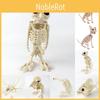 Halloween Skeleton Cat Dog Owl Prop Animal Bones Party Shop Horror Decoration