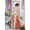 Women's Traditional Chinese Hanfu Set, Tang Dynasty Chest-high Ruqun Floral Printed Daily Wear Ancient Style Full Outfit