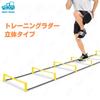 Morytrade 2.2m 3D Training Ladder for Warming Up, Soccer, Futsal, and Track and Field