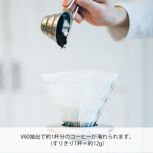 HARIO V60 Measuring Spoon Silver Coffee Powder Grind 12g Stainless Steel Coffee Measure Made In Japan M-12SV