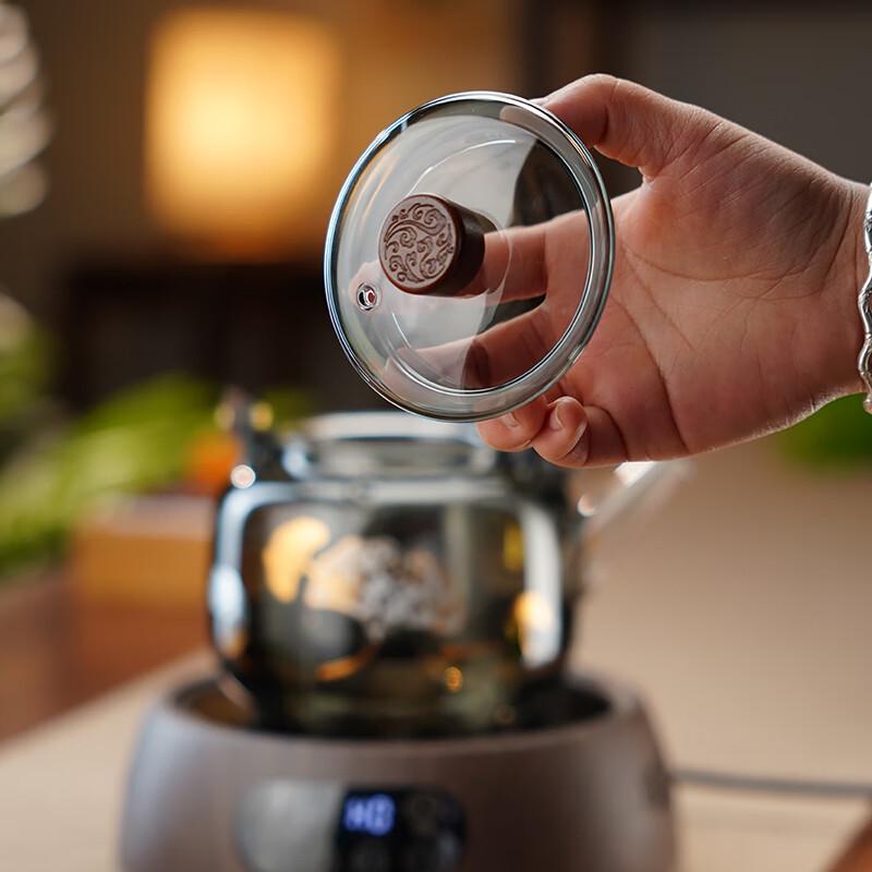 Quandu Glass Steam & Boil Integrated Teapot Set