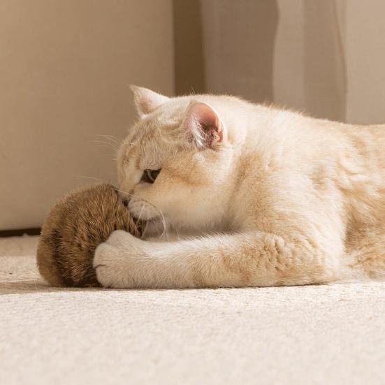Yousheng Cat Toy Imitation Rabbit Fur Ball with Catnip Scent Indoor Exercise Play Washable Faux Fur Catnip Toy