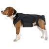 Ceinture de soutien dorsal pour chiens, Orthèse, Rééducation, Taille , Noir