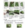 Night Cat Solo Camping Person Tent Ultra Light Portable Waterproof Disaster Prevention Climbing Water Pressure 3000mm Backpacking Bike 1/2
