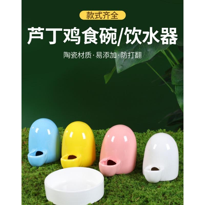 Chicken Trough Small Automatic Waterer Quail Feed Feeder Rutin Chicken Trough Chicken Automatic Feeder