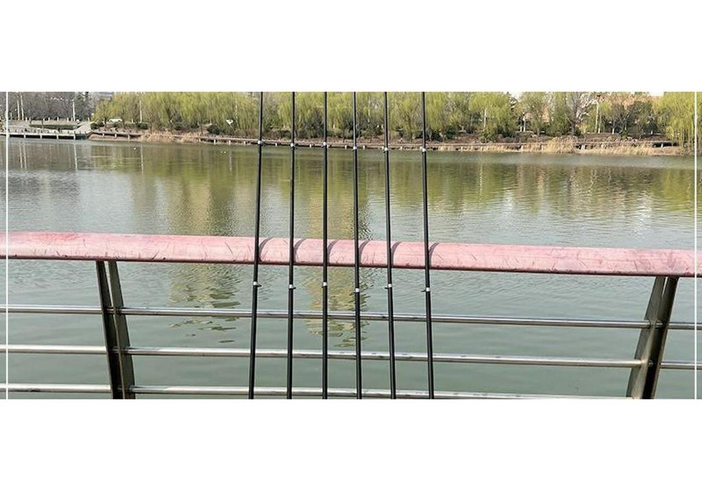 Complete Beginner Fishing Set: Long-Casting Sea Rod, Telescopic Rod, Casting Rod, Throwing Rod, Fishing Reel, and Gear.