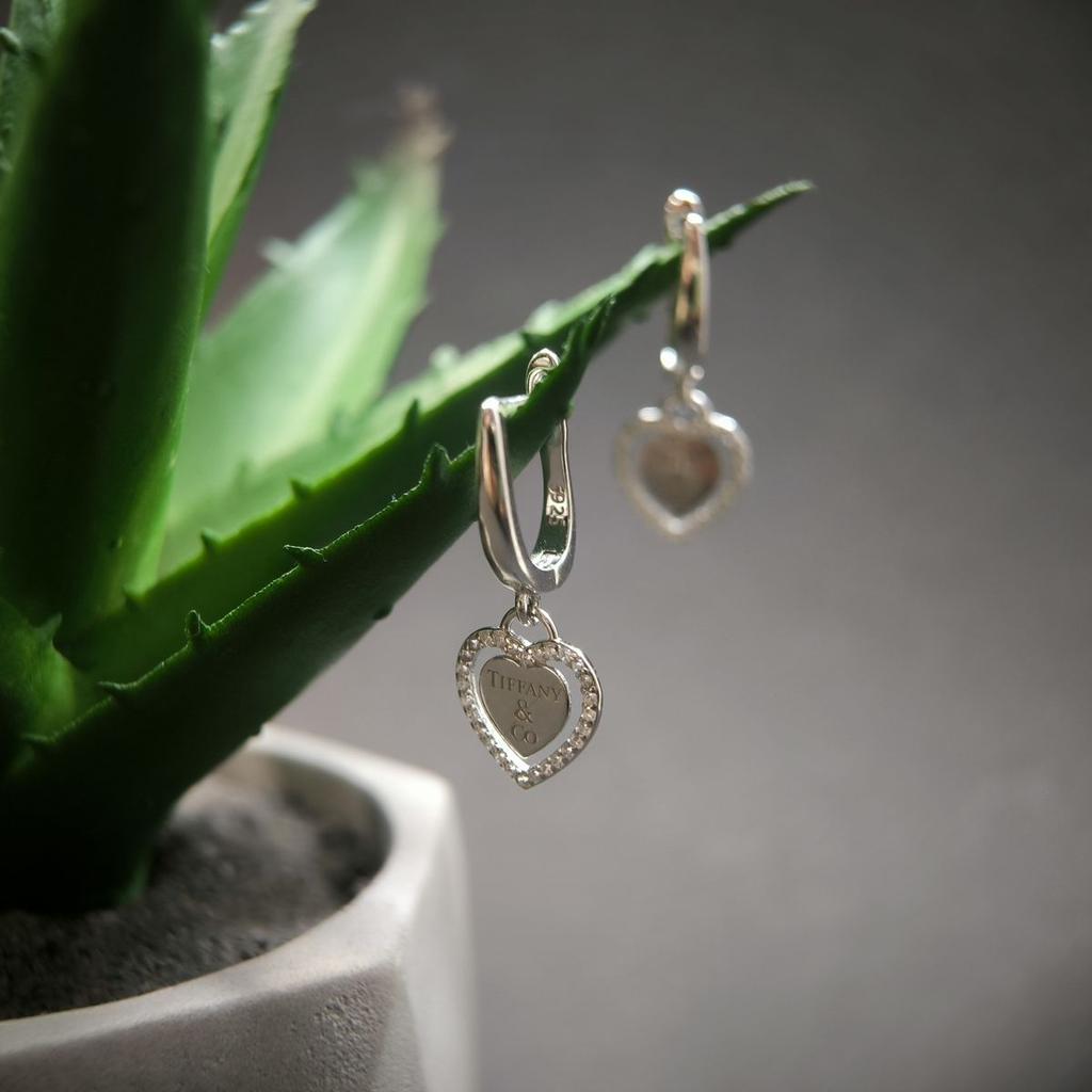 Silver Earrings with Cubic Zirkonia (2177500)