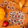 Ceiba Tree 60Pcs Thanksgiving Turkey Mini Erasers for Kids Bulk Pumpkin Pencil Erasers Stationery for Kids Student Classroom Prizes Homework Rewards