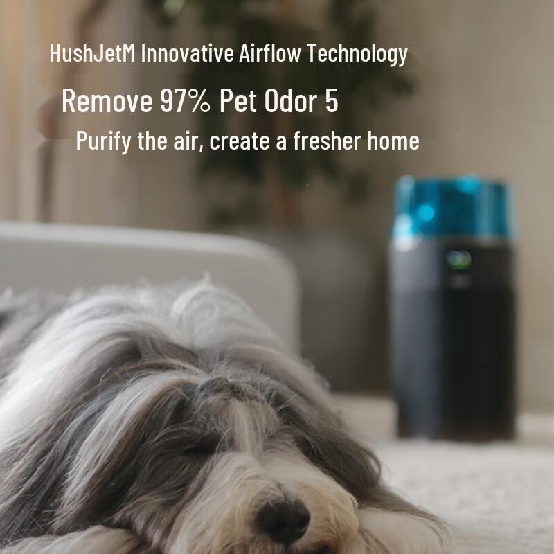 Dyson HJ10 Purifying Fan and Air Purifier CN Plug (adapter Included)