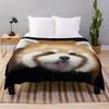 Waschbär Kuscheldecke Waschbär Geschenke für Mädchen Jungen Frau Weich Leicht Warm Fleece Flanell Plüschdecke für Bett Sofa Couch