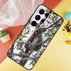 Koala Phone Case For Samsung Galaxy S25 S26 Ultra S21 S20 S22 S23 Ultra S10 Plus S24 FE Cover Coque